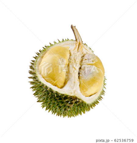 durian or durian with concept on background new. 62536759