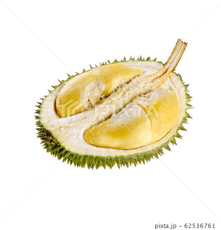 durian or durian with concept on background new. durian or durian with concept on background new. 62536761