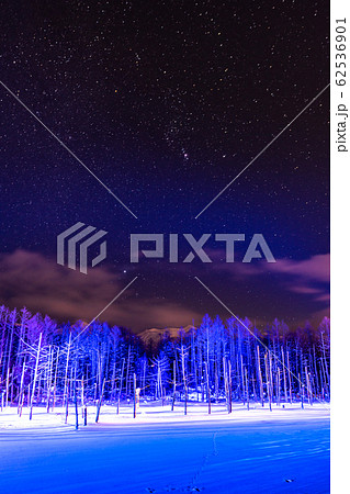 《北海道》冬の美瑛・青い池ライトアップ 62536901