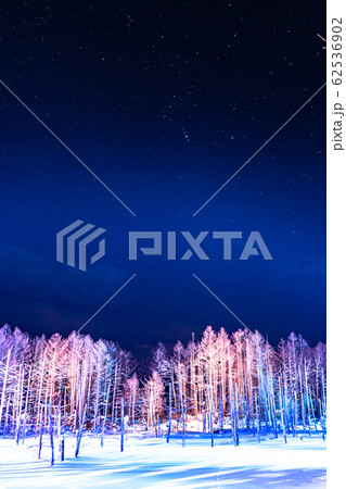 《北海道》冬の美瑛・青い池ライトアップ 62536902