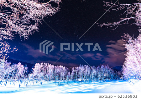 《北海道》冬の美瑛・青い池ライトアップ 62536903