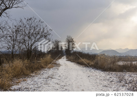 自然 風景 韓国 62537028