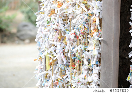 おみくじ 62537839