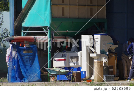 籾摺り　籾摺り作業 62538699