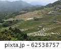 千枚田　棚田 62538757