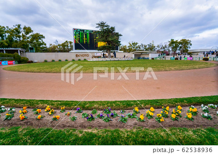 京都競馬場　バンジーとパドック 62538936