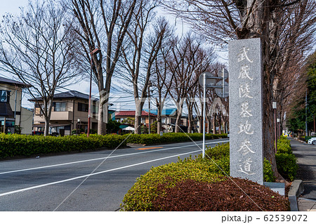 東京都 武蔵領墓地参道 多摩御陵 東京都 武蔵領墓地参道 多摩御陵 62539072