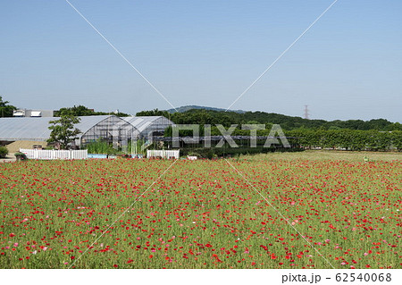 和泉リサイクル環境公園 和泉リサイクル環境公園 62540068