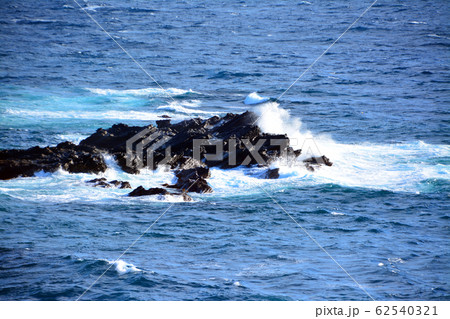 城ヶ崎海岸の望洋 62540321