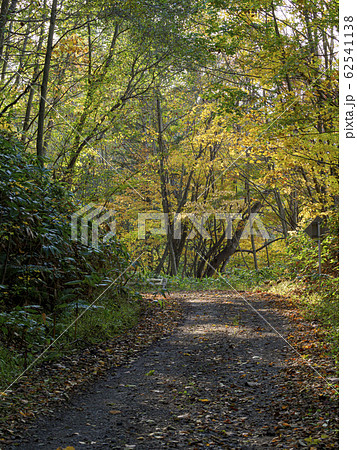 山の中の未舗装道路　縦構図 62541138