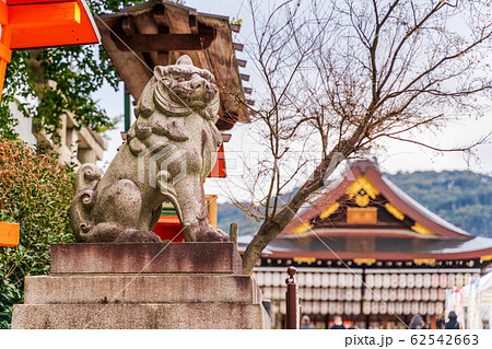 八坂神社　狛犬　京都市東山区 62542663