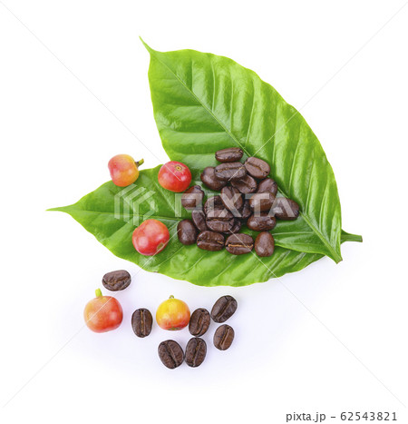 Fresh roasted coffee beans with leaves isolated on Fresh roasted coffee beans with leaves isolated on 62543821