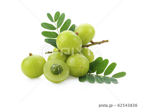 Fresh indian gooseberry on white background Fresh indian gooseberry on white background 62543836