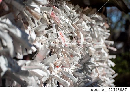 結び付けられた御神籤 おみくじ 神社寺院 62543887