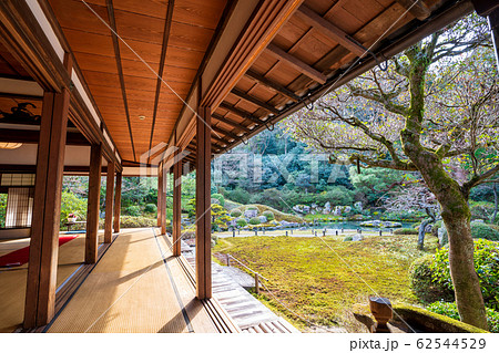 京都・青蓮院　華頂殿から庭園の眺め 62544529