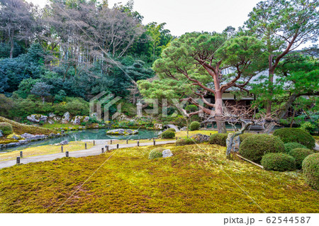 京都・青蓮院　庭園の眺め 62544587