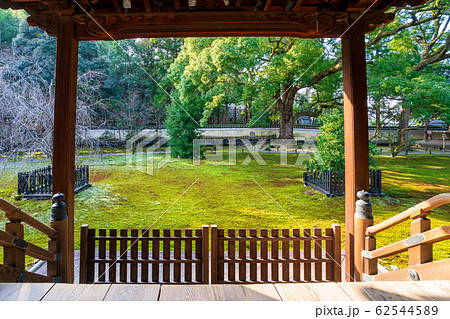 京都・青蓮院　庭園の眺め 62544589