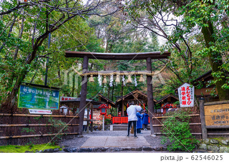 野宮神社 鳥居 京都市右京区 野宮神社 鳥居 京都市右京区 62546025
