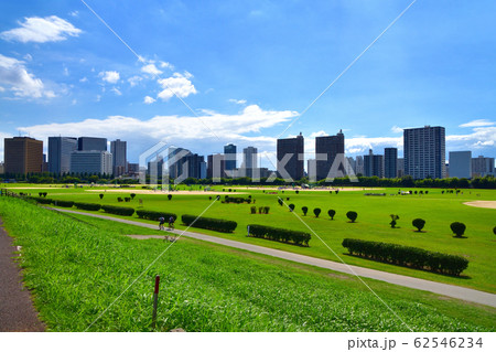 多摩川の風景 多摩川の風景 62546234