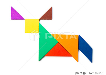 Color wood tangram puzzle in ox, buffalo or bull 62546443