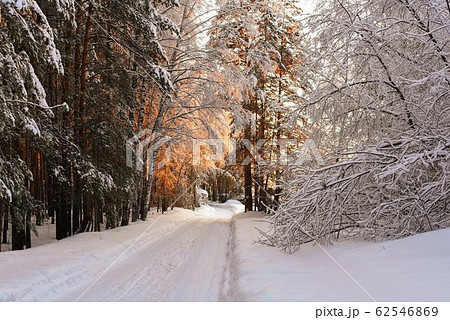 Snowy road in the winter forest at sunset. 62546869