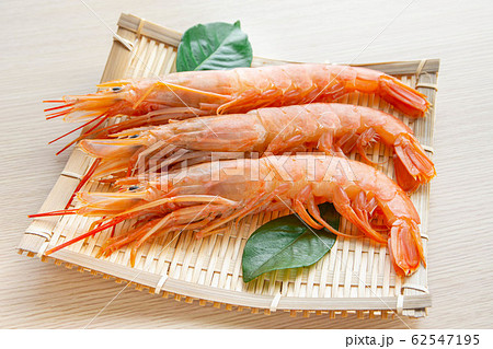 アカエビ 62547195