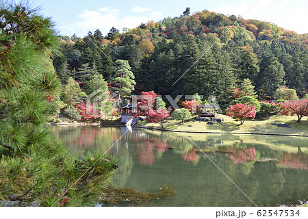 修学院離宮　上離宮　浴龍池 62547534