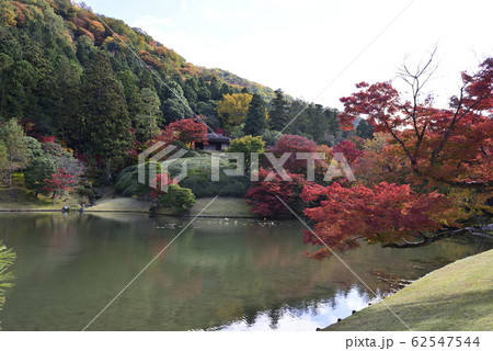 修学院離宮　上離宮　浴龍池 62547544