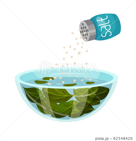 Dressing Salad with Salt Isolated on White Background Vector Illustration Dressing Salad with Salt Isolated on White Background Vector Illustration 62548420
