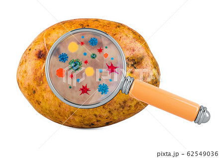 Potato with germs, microbes or viruses 62549036