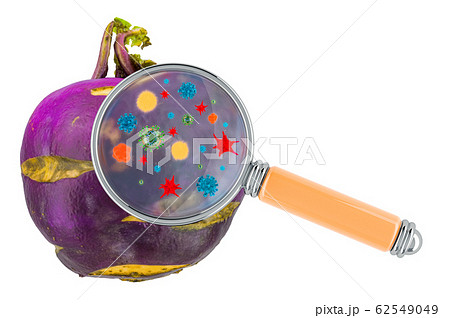 Kohlrabi with germs, microbes or viruses 62549049