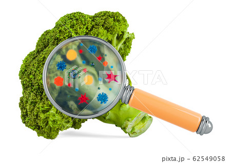 Broccoli cabbage with germs, microbes or viruses 62549058