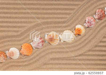 Seashell lying on zigzag lines of sand. Seashell lying on zigzag lines of sand. 62550937