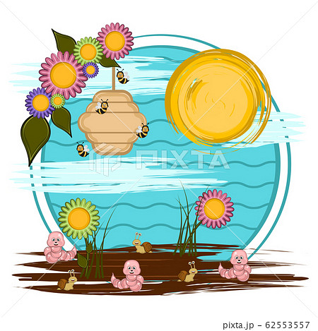 Cute insects in a cartoon landscape 62553557