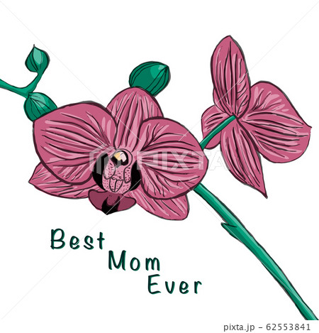 Hand-drawn orchid flower and the inscription best mom ever.Postcard for Women’s and Mother’s Day. 62553841