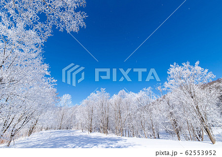 北海道冬の風景　富良野の樹氷 62553952