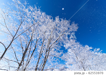 北海道冬の風景 富良野の樹氷 北海道冬の風景 富良野の樹氷 62553970