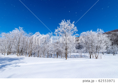 北海道冬の風景　富良野の樹氷 62553971