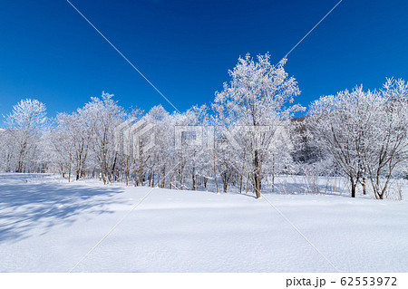 北海道冬の風景 富良野の樹氷 北海道冬の風景 富良野の樹氷 62553972