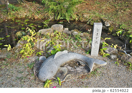 【大村神社 なまず池】 三重県伊賀市阿保 【大村神社 なまず池】 三重県伊賀市阿保 62554022