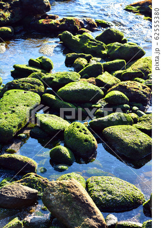 城ヶ崎海岸の神秘なる侵食造形美 62555380