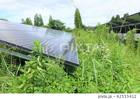 雑草が生い茂った太陽光発電所 雑草が生い茂った太陽光発電所 62555412