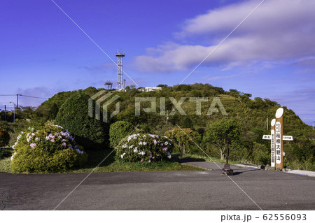 （神奈川県）シャクナゲ咲く、箱根大観山展望台 62556093