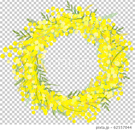 Mimoza Mimosa Lease Stock Illustration