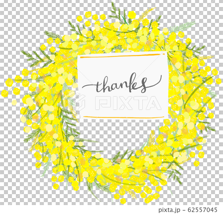 mimoza mimosa lease 62557045