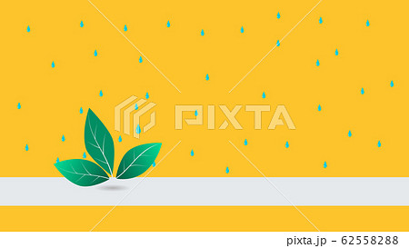 Green Leaf with the water drop 62558288