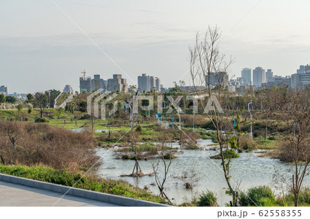 台中中央公園　水湳經貿園區　台中市　台湾　二番目に大きい公園　in Taiwan Taichung 62558355