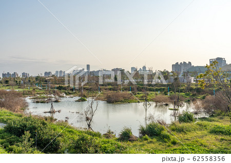 台中中央公園　水湳經貿園區　台中市　台湾　二番目に大きい公園　in Taiwan Taichung 62558356