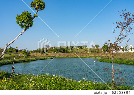 台中中央公園　水湳經貿園區　台中市　台湾　二番目に大きい公園　in Taiwan Taichung 62558394