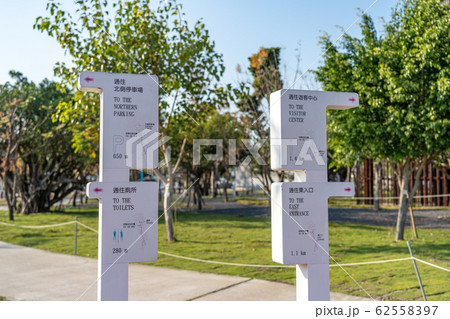 台中中央公園　水湳經貿園區　台中市　台湾　二番目に大きい公園　in Taiwan Taichung 62558397